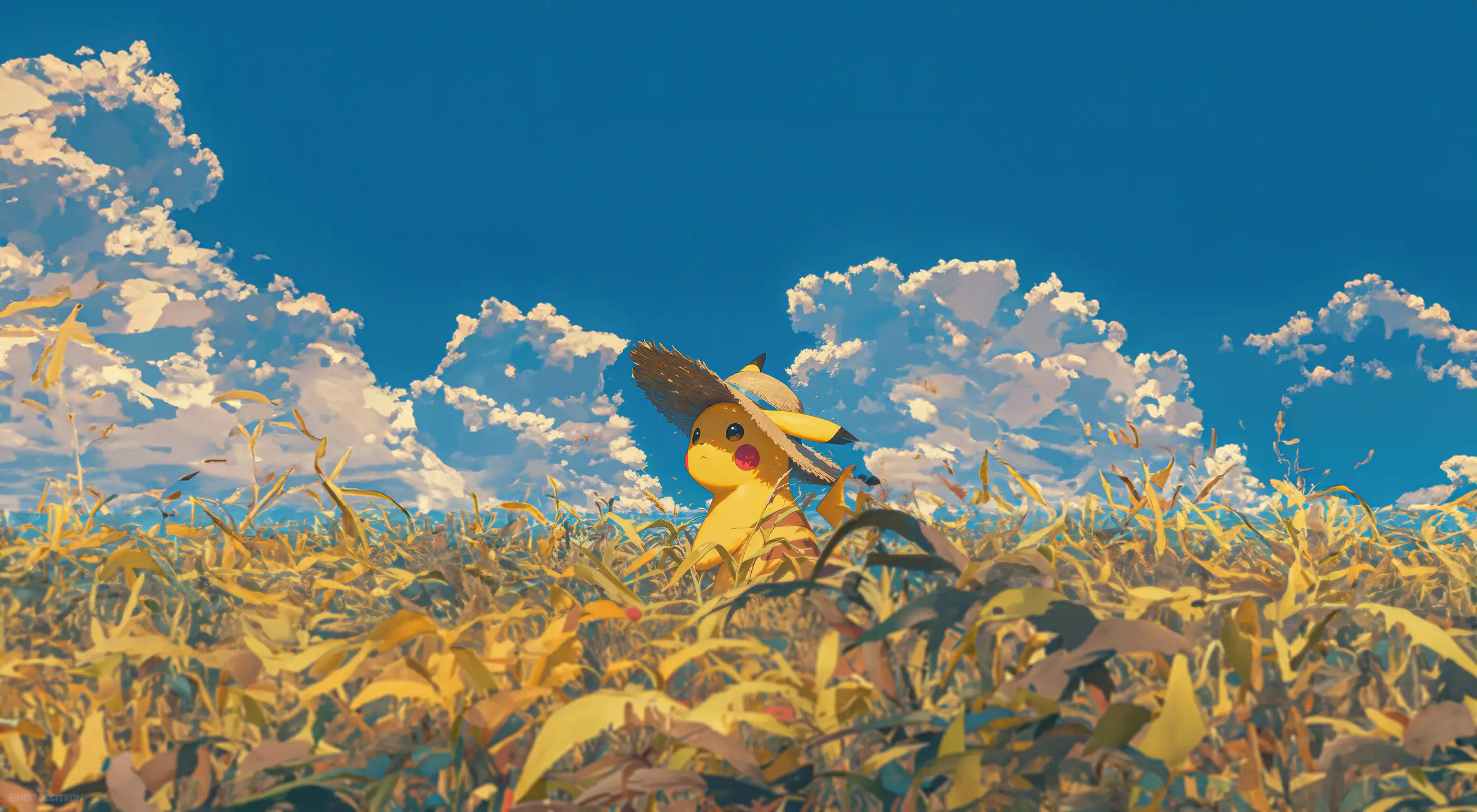 Desktop banner image 7